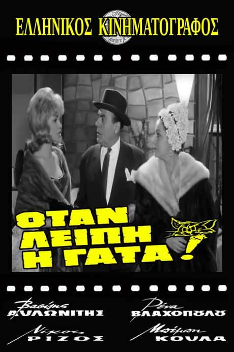 When the Cat is Missing!